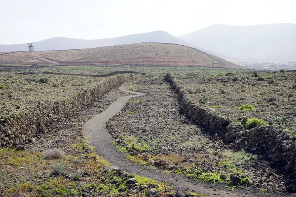 Voetpad Stenen Muren Woestijn Van Fuerteventura Eiland Spanje — Stockfoto