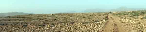 Wanderweg Auf Dem Trockenen Land Der Insel Fuerteventura Spanien — Stockfoto