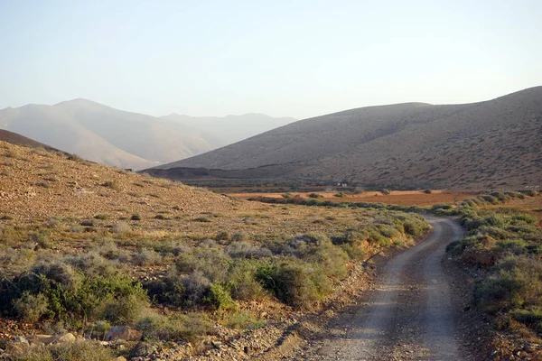 Sentiero Sulla Terra Arida Dell Isola Fuerteventura Spagna — Foto Stock