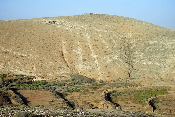 Zemědělská Půda Ostrově Fuerteventura — Stock fotografie