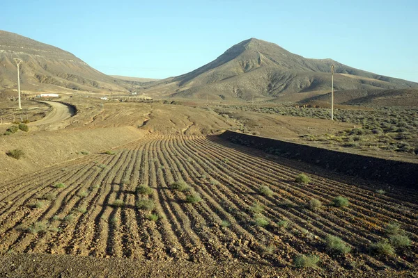 Geploegd Landbouwgrond Het Eiland Fuerteventura Spanje — Stockfoto