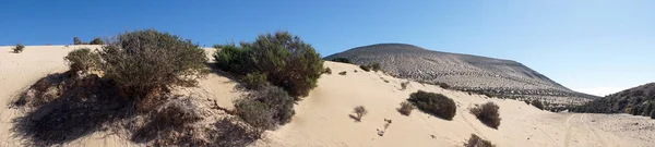 Dune Sabbia Sull Isola Fuerteventura Spagna — Foto Stock