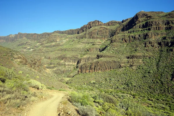 Trail Mountain Gran Canaria Spain — Stock Photo, Image