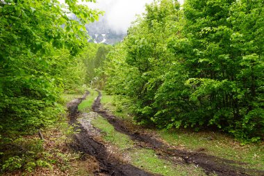 Wet track