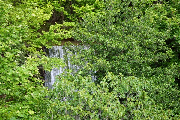 Pequena cachoeira — Fotografia de Stock