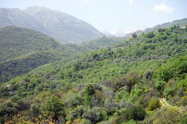 Yunanistan'da yol ve dağ              