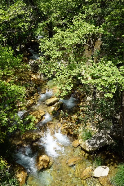 Río de montaña — Foto de Stock