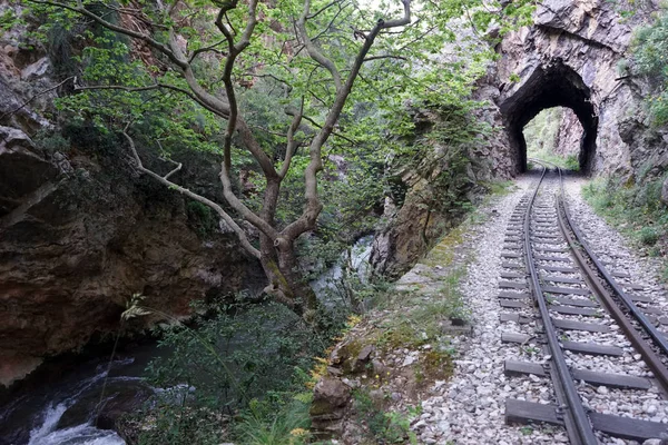 Tünel ve nehir — Stok fotoğraf