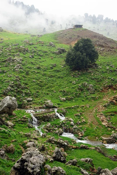 Fiume di montagna — Foto Stock