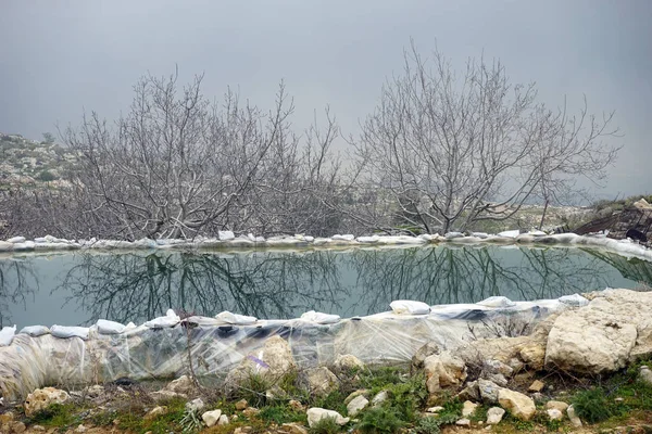 Πισίνα και δέντρα — Φωτογραφία Αρχείου