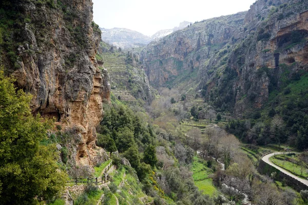 Quadisha valley — Stockfoto