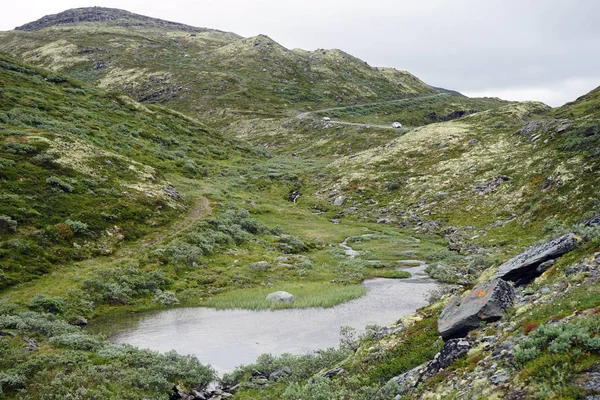 Camino y lago — Foto de Stock