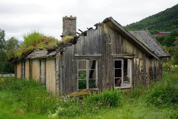 Trehus – stockfoto