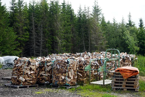 Firewood in forest — Stock Photo, Image