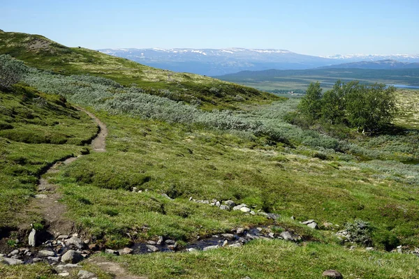 Gyalogösvény Dovre Nemzeti Parkban Norvégiában — Stock Fotó