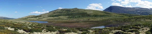 Панорама озера — стоковое фото