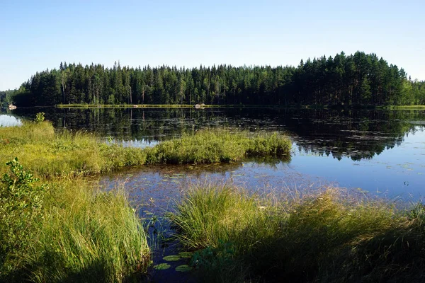 Lago forestale — Foto Stock