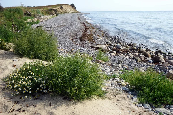 Plage sur la côte — Photo