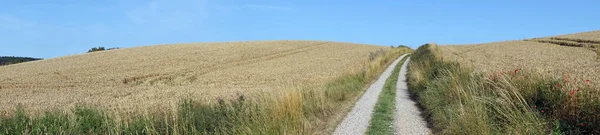 Дорога и поле — стоковое фото