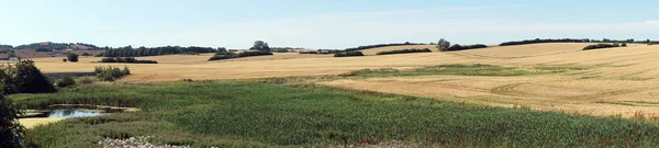 Panorama of field — Stock Photo, Image