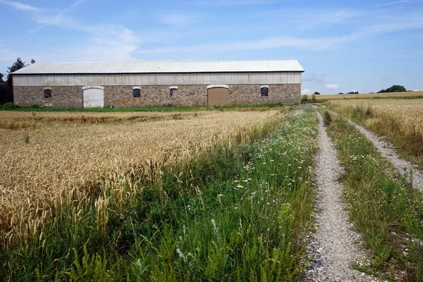 Fienile e campo — Foto Stock