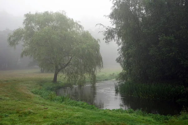 Brume et rivière — Photo