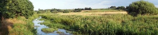 Fluss und Weide — Stockfoto