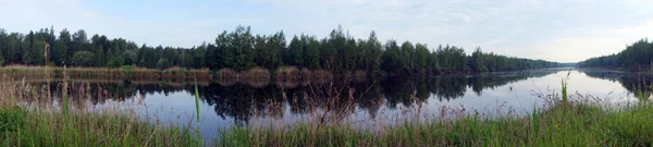 Arbres Sur Lac Dans Région Moscou Russie — Photo