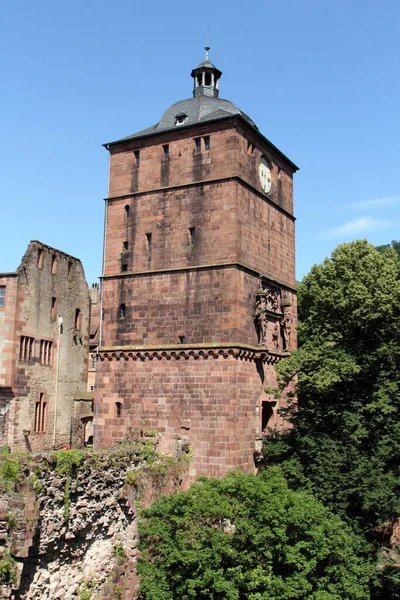Castillo Medieval Heidelberg Alemania —  Fotos de Stock