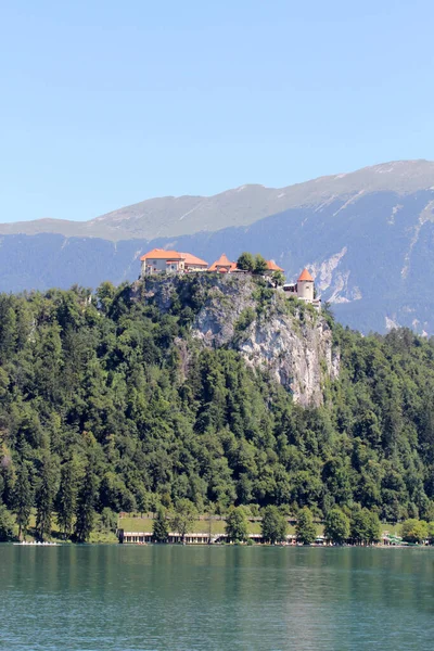Die Burg Bled Ist Eine Mittelalterliche Burg Die Auf Einem — Stockfoto