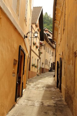 Slovenya, Avrupa 'daki ortaçağ köyü Skofja Loka' nın tarihi mimarisi. Skofja Loka, İnsanlığın Soyut Kültürel Mirası 'nın UNESCO Listesinde yer alan resim ortaçağ setidir..