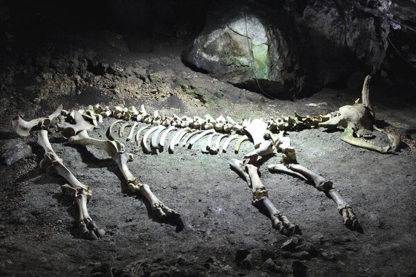 Зал пещеры Эмине Байр Хасар. Чатыр-Даг. Крым, Украина.