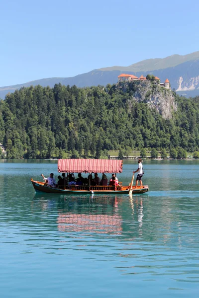 Amazing View Bled Lake Island Castle Met Mountain Range Stol — Stockfoto