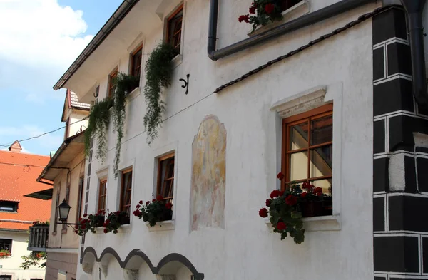 Arquitetura Histórica Skofja Loka Vila Medieval Eslovênia — Fotografia de Stock