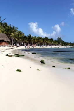 Meksika, Cancun 'da güzel bir sahil..