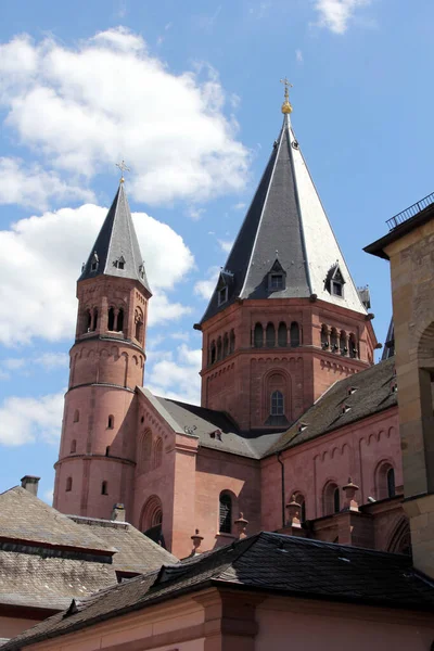 Martins Katedral Mainz Tyskland — Stockfoto