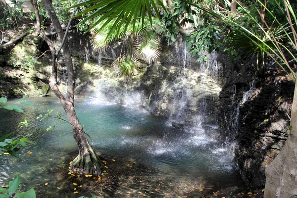 Cenote Riviéra Maya Dzsungel Mexikó — Stock Fotó