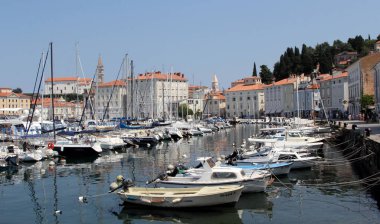 Slovenya 'nın Piran kentinde tekne ve şamandıralı bir marina manzarası