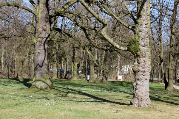 Taman Bad Homburg Hesse Jerman Bad Homburg Terkenal Karena Air — Stok Foto