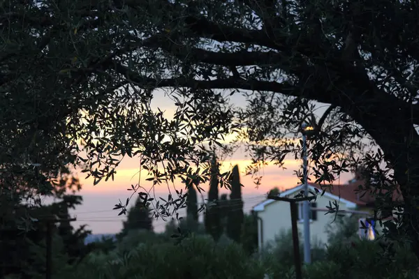 Sloveense Adriatische Kust Bij Zonsondergang Portoroz Een Plaats Slovenië Maakt — Stockfoto