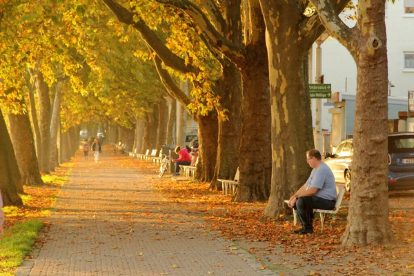 Beautiful Autumn Promenade Wiesbaden Hesse Germany — Stock Photo, Image