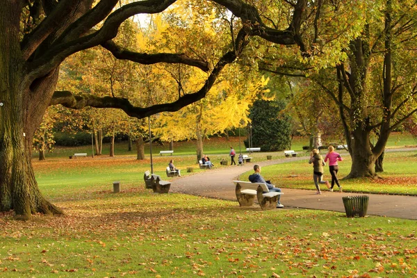 Hermoso Paseo Marítimo Otoño Wiesbaden Hesse Alemania — Foto de Stock