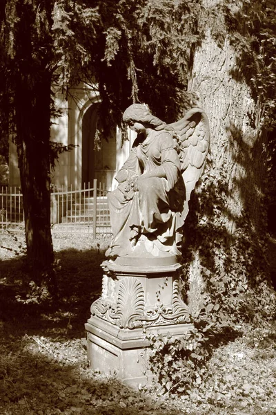 Sad angel statue at old cemetery