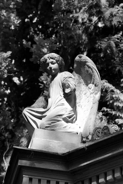 Sad angel statue at old cemetery