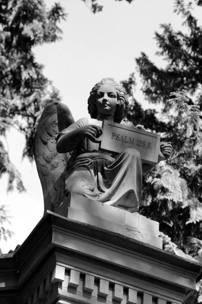 Sorglig Ängel Staty Gamla Kyrkogården — Stockfoto
