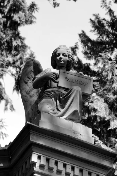 Statue Ange Triste Vieux Cimetière — Photo