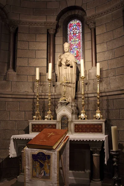 Intérieur Cathédrale Saint Nicolas Monaco Europe — Photo