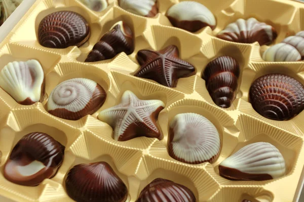 Belgian Pralines Beautiful Shell Shaped Chocolates Macro — Stock Photo, Image