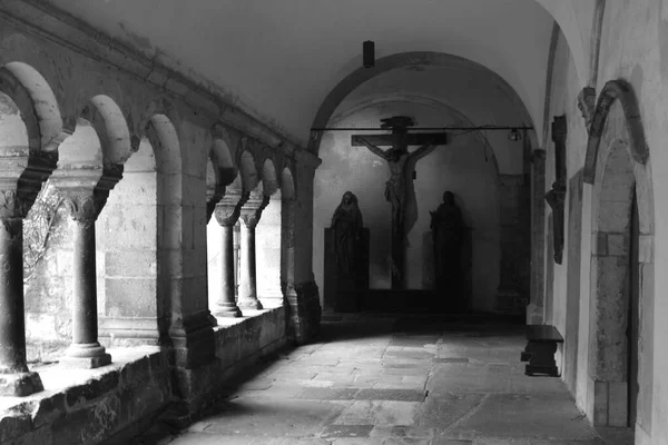 Minster Bonn Una Las Iglesias Más Antiguas Alemania Habiendo Sido —  Fotos de Stock