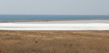 Arka plan olarak Salt Lake manzarası